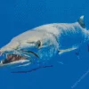 Wild Barracuda Fish Diamond Painting