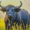 Wild Buffalo In The Grass Diamond Painting