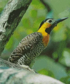 Yellow Campo Flicker Bird Diamond Painting