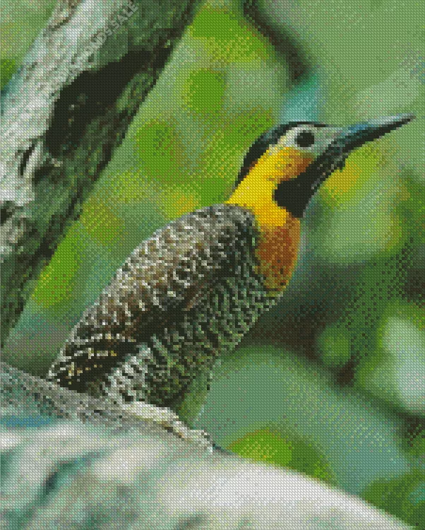 yellow Campo flicker bird Diamond Dotz Yellow Campo Flicker Bird Diamond Painting