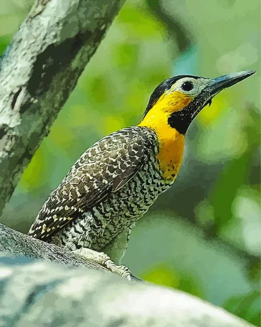 yellow Campo flicker bird Diamond With Numbers Yellow Campo Flicker Bird Diamond Painting