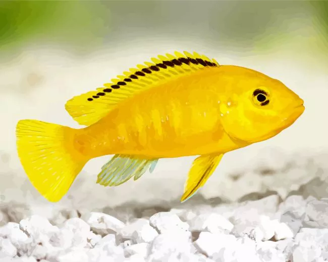 yellow Cichlid Diamond Paints Yellow Cichlid Diamond Painting