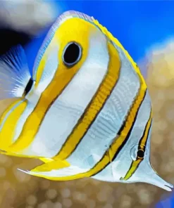 Yellow Copperband Butterfly Fish Diamond Painting
