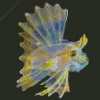 Yellow Lionfish Diamond Painting