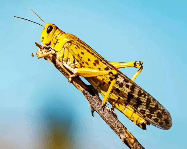 yellow Locust Diamond Paints Yellow Locust Diamond Painting