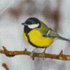 Yellow Parus Bird Diamond Painting