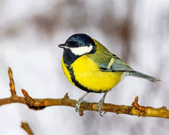 yellow Parus Bird Diamond With Numbers Yellow Parus Bird Diamond Painting