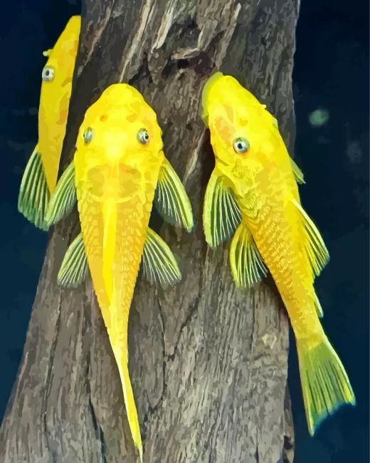 yellow Pleco Fish Diamond Paints Yellow Pleco Fish Diamond Painting