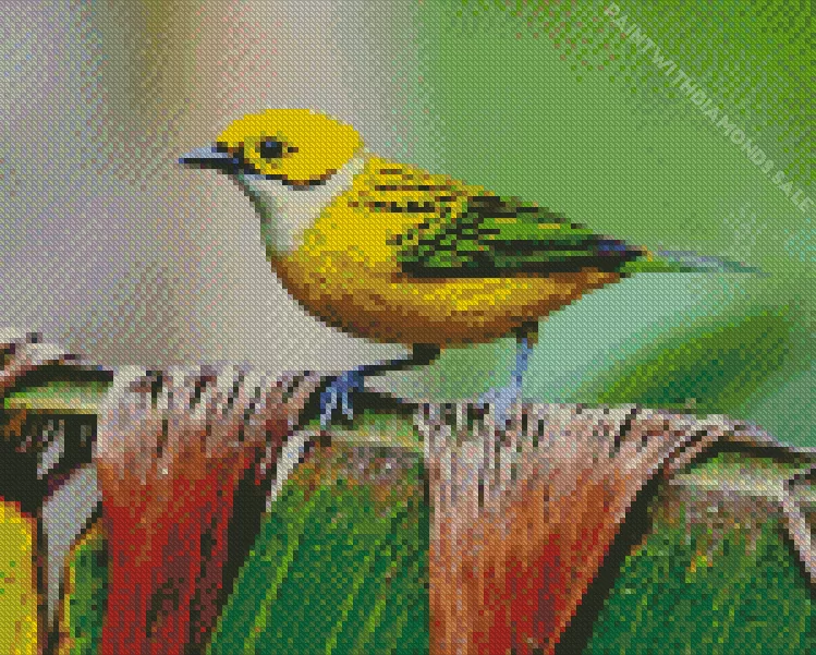 yellow Silver Throated Tanager Diamond Dotz Yellow Silver Throated Tanager Diamond Painting