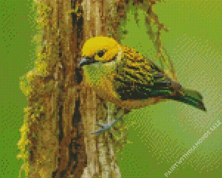 yellow Silver Throated Tanager bird Diamond Dotz Yellow Silver Throated Tanager Bird Diamond Painting