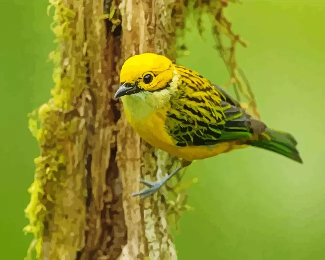 yellow Silver Throated Tanager bird Diamond Paintings Yellow Silver Throated Tanager Bird Diamond Painting