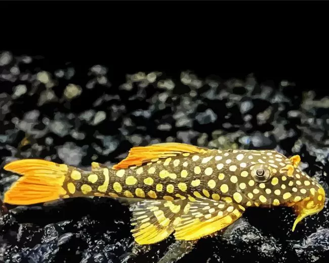 yellow and black Pleco Fish Diamond Paints Yellow And Black Pleco Fish Diamond Painting