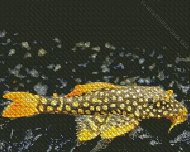 yellow and black Pleco Fish Diamond With Numbers Yellow And Black Pleco Fish Diamond Painting