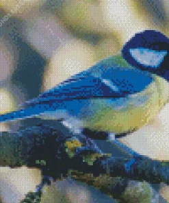 Yellow And Blue Parus Bird Diamond Painting
