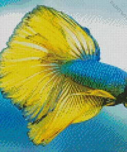 Yellow And Blue Siamese Fighting Fish Diamond Painting