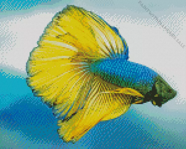 yellow and blue Siamese fighting fish Diamond Paintings Yellow And Blue Siamese Fighting Fish Diamond Painting
