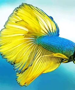Yellow And Blue Siamese Fighting Fish Diamond Painting