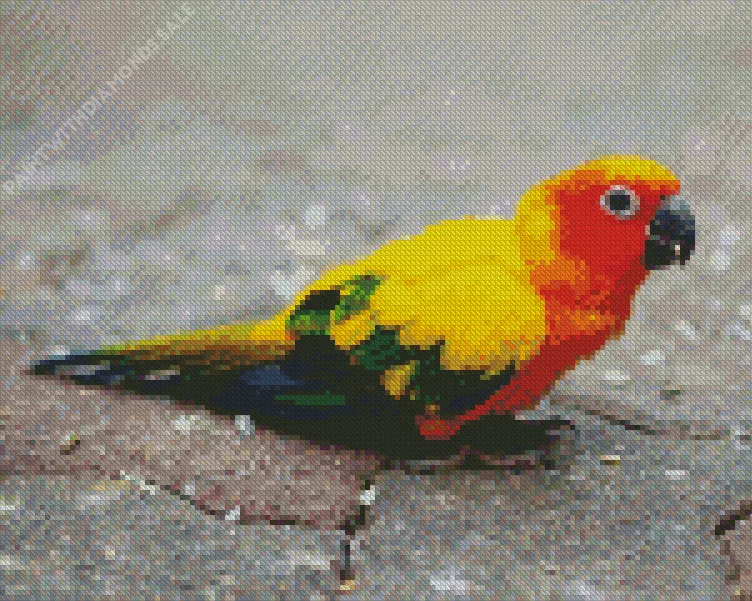 yellow and green Conure Bird Diamond By Numbers Yellow And Green Conure Bird Diamond Painting
