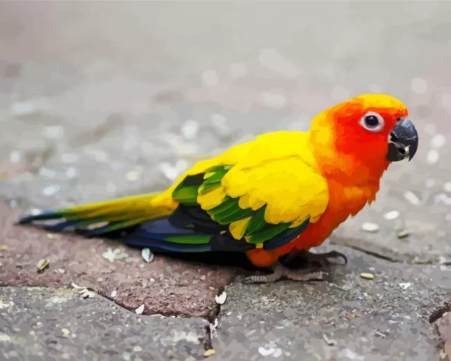 yellow and green Conure Bird Diamond Paints Yellow And Green Conure Bird Diamond Painting