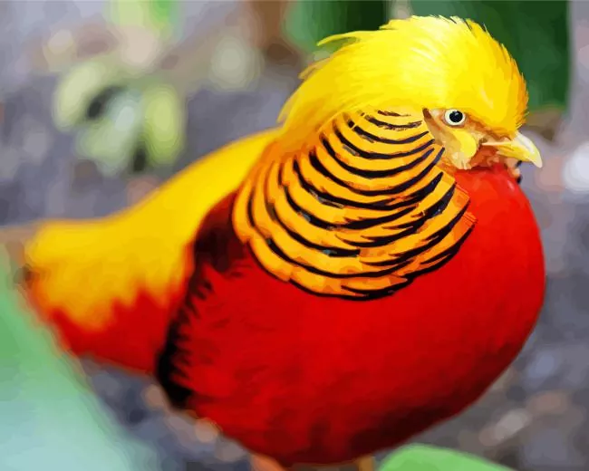 yellow and red Pheasant Diamond By Numbers Yellow And Red Pheasant Diamond Painting