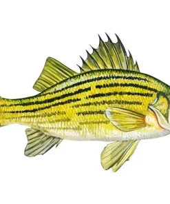 Yellow Bass Diamond Painting