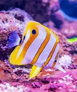 Yellow Copperband Butterflyfish Diamond Painting