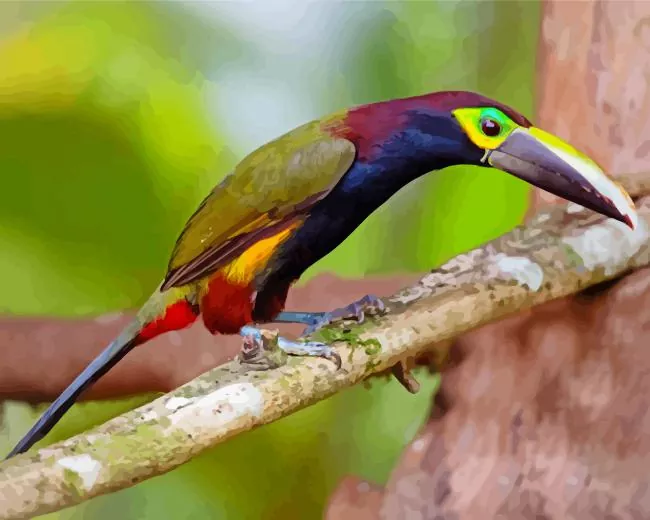 yellow eared toucanet bird art Diamond By Numbers Yellow Eared Toucanet Bird Art Diamond Painting