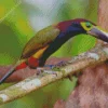Yellow Eared Toucanet Bird Art Diamond Painting