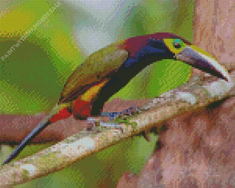 yellow eared toucanet bird art Diamond Dotz Yellow Eared Toucanet Bird Art Diamond Painting
