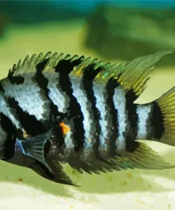 Zebra Cichlid Diamond Painting