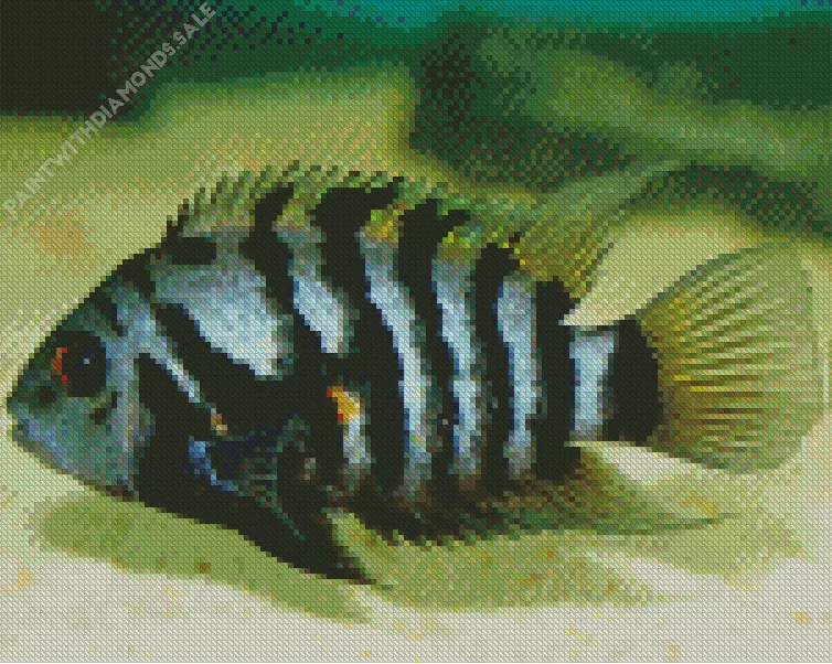 zebra Cichlid Diamond With Numbers Zebra Cichlid Diamond Painting