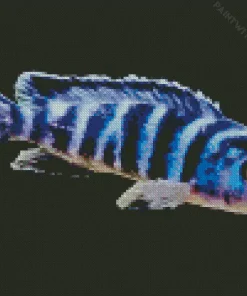 Zebra Cichlid Fish Diamond Painting
