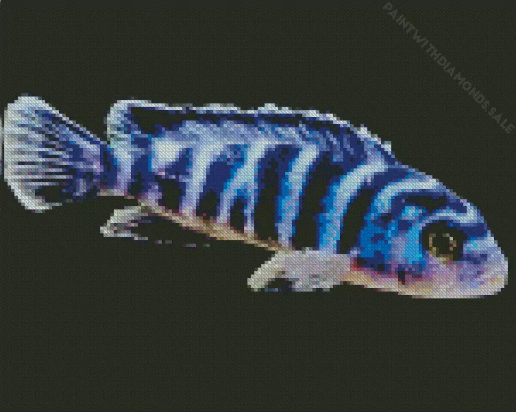 zebra Cichlid fish Diamond With Numbers Zebra Cichlid Fish Diamond Painting
