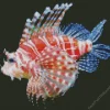 Zebra Lionfish Diamond Painting