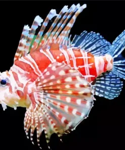 Zebra Lionfish Diamond Painting