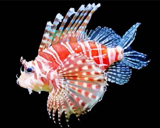 zebra Lionfish Diamond With Numbers Zebra Lionfish Diamond Painting