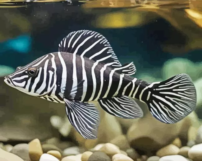 zebra Pleco Fish Diamond Paints Zebra Pleco Fish Diamond Painting