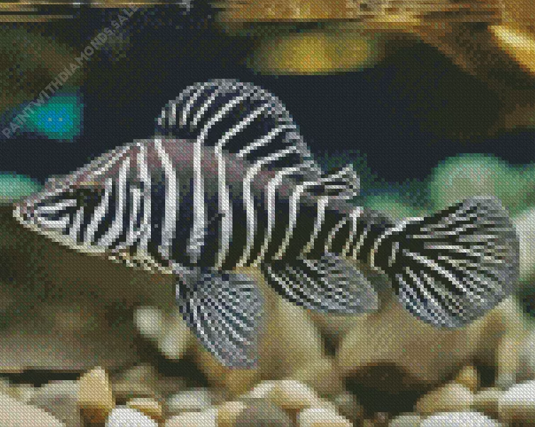 zebra Pleco Fish Diamond With Numbers Zebra Pleco Fish Diamond Painting