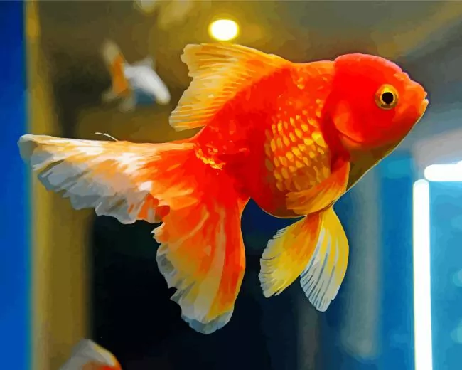 Aquarium Goldfish Diamond With Numbers Aquarium Goldfish Diamond Painting