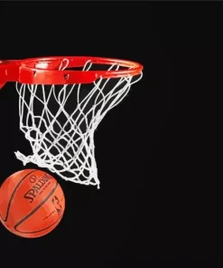 Basketball In Hoop Diamond Painting