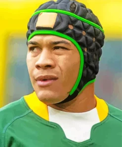 Cheslin Kolbe Diamond Painting