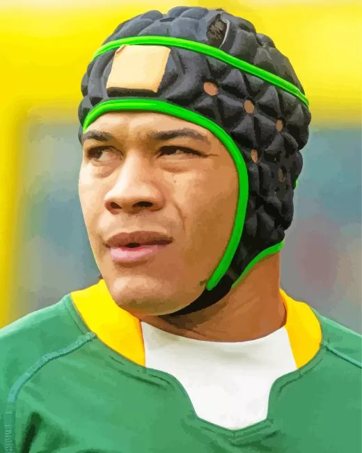 Cheslin Kolbe Diamond Paintings Cheslin Kolbe Diamond Painting