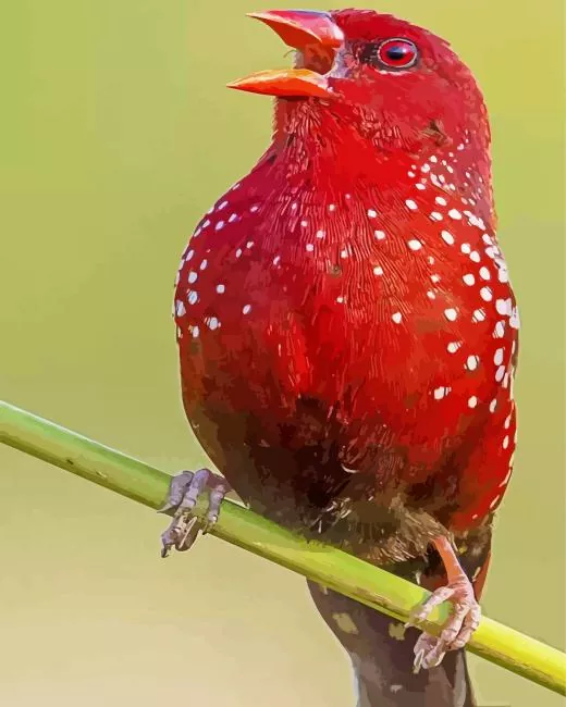 Common Kestrel bird Diamond Paints Cute Common Kestrel Bird Diamond Painting