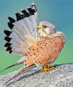 Common Kestrel Flapping Wings Diamond Painting