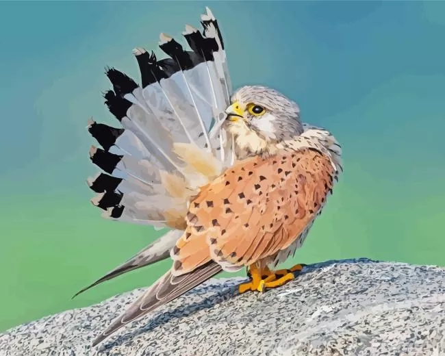 Common Kestrel flapping wings Diamond Paints Common Kestrel Flapping Wings Diamond Painting