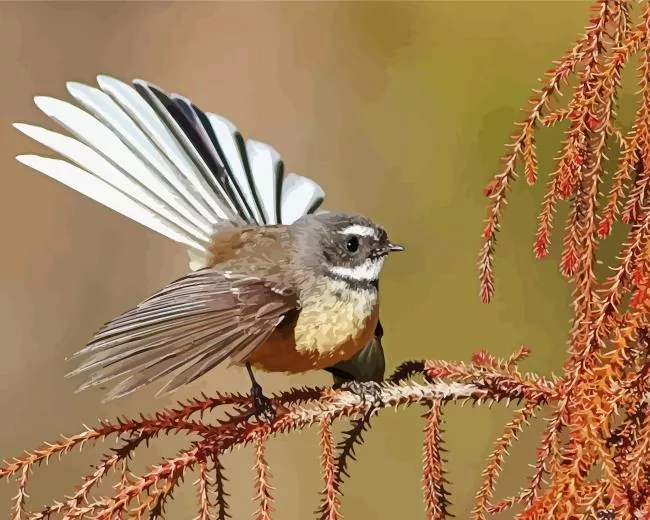 Fantail Diamond Paints Fantail Diamond Painting