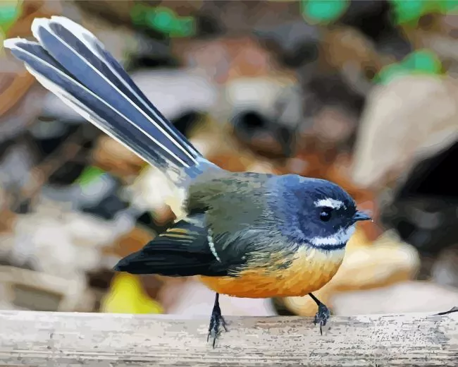 Fantail bird Diamond Paints Fantail Bird Diamond Painting