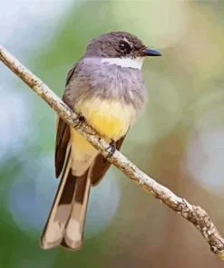 Fantail Bird On A Stick Diamond Painting