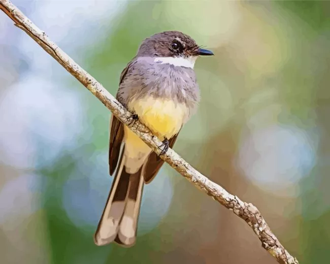 Fantail bird on a stick Diamond Paints Fantail Bird On A Stick Diamond Painting