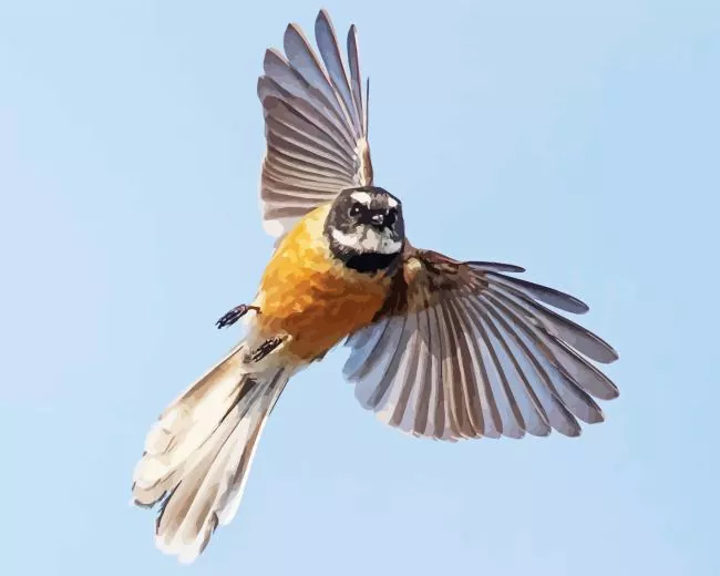 Fantail flying Diamond Paints Fantail Flying Diamond Painting